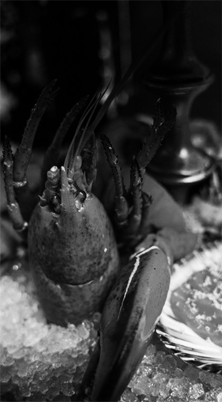 Imagefilm -reefandbeef-nrw Nahaufnahme eines Hummers auf Eis in Schwarzweiß als stimmungsvolle Szene für einen hochwertigen Imagefilm im Gastronomiebereich.